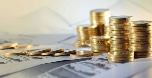 创业前财务咨询 绘制蓝图，筑牢根基